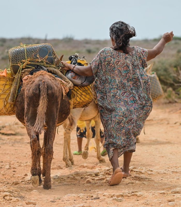 img_1661488692000_lkfoeda9139