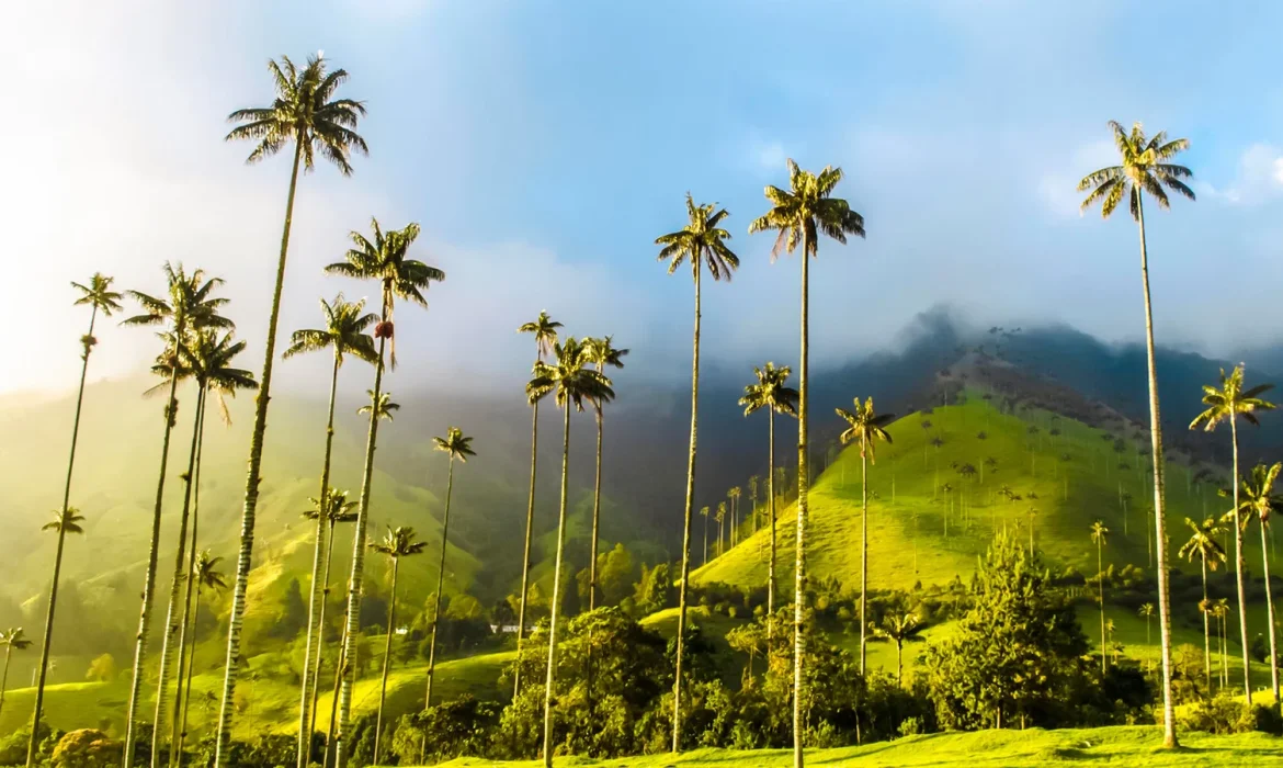 salentoyvalledecocorapanorama